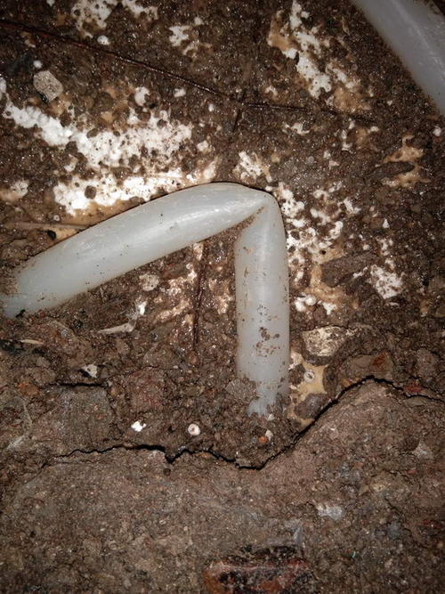 临城堵点精准查找